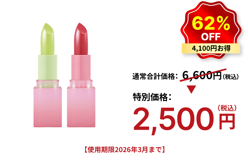 62%OFF 4,100円お得 特別価格：2,500円（税込）