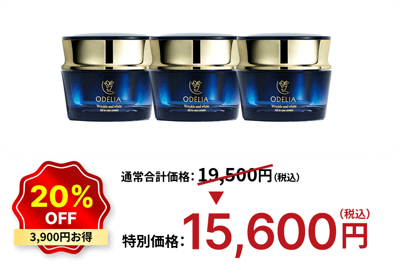 20%OFF 3,900円お得 特別価格：15,600円（税込）