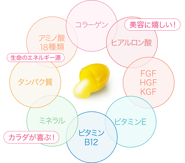 国産セールプラセンタ チャレンジパック100 その他