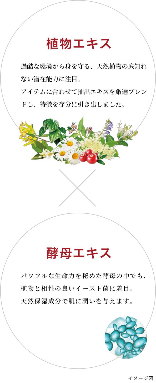 植物エキス(過酷な環境から身を守る、天然植物の底しれない潜在能力に着目。アイテムに合わせて抽出エキスを厳選ブレンドし、効果を存分に引き出しました。)×酵母エキス(パワフルな生命力を秘めた酵母の中でも、植物と相性の良いイースト菌に着目。潤い肌に必須の天然保湿因子や、肌の生まれ変わりを助ける成分を届けます。)