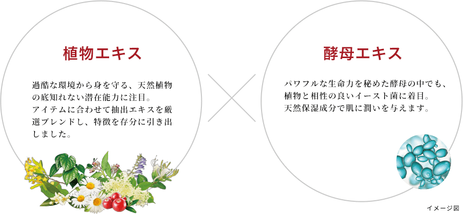 植物エキス(過酷な環境から身を守る、天然植物の底しれない潜在能力に着目。アイテムに合わせて抽出エキスを厳選ブレンドし、効果を存分に引き出しました。)×酵母エキス(パワフルな生命力を秘めた酵母の中でも、植物と相性の良いイースト菌に着目。潤い肌に必須の天然保湿因子や、肌の生まれ変わりを助ける成分を届けます。)