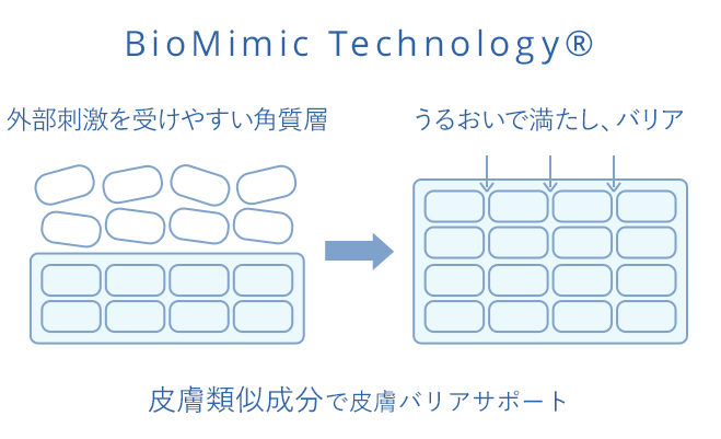 BioMimic Technology 外部刺激を受けやすい角質層をうるおいで満たし、バリア 皮膚類似成分で皮膚バリアサポート