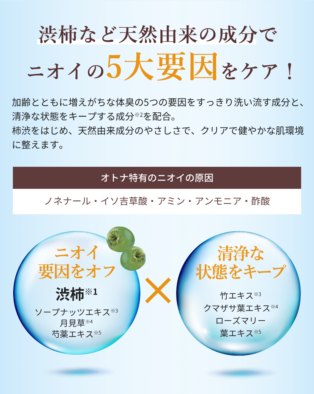 柿渋など天然由来の成分でニオイの5大要因をケア