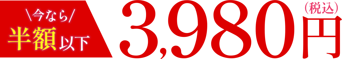 今なら半額以下3,980円(税込)