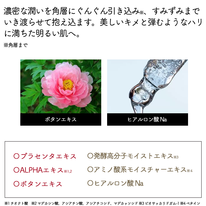 説明