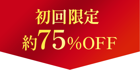 初回限定約71%OFF