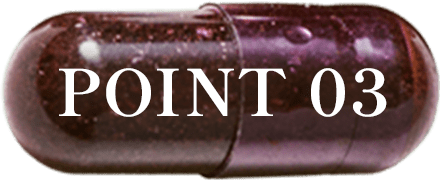 POINT03