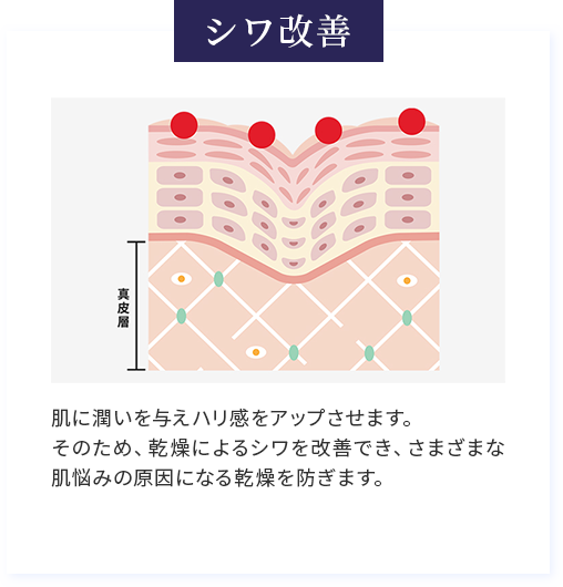 シワ改善