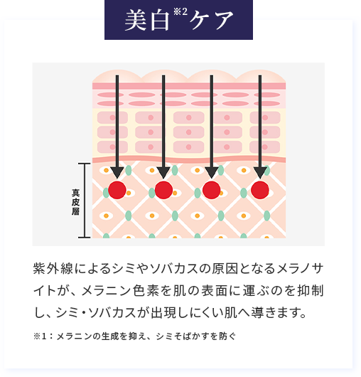 美白ケア