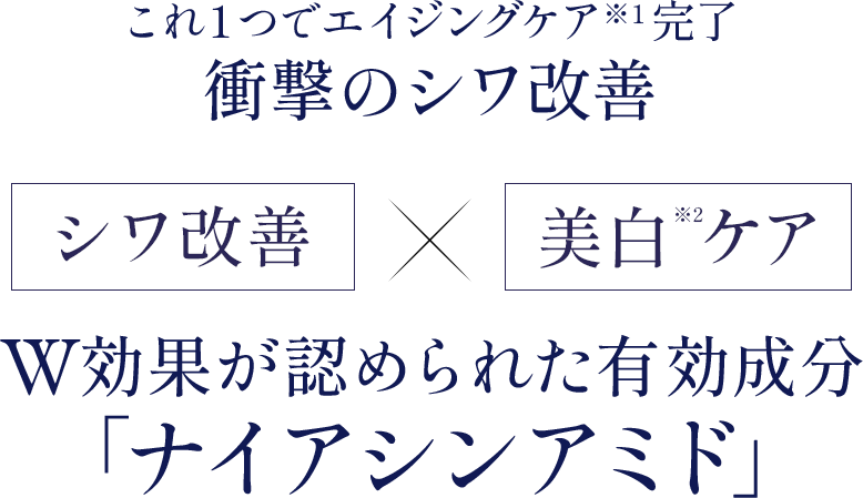 これ一つでエイジングケア完了衝撃のシワ改善
