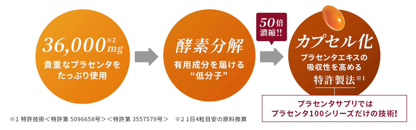 プラセンタサプリではプラセンタ100シリーズだけの技術!