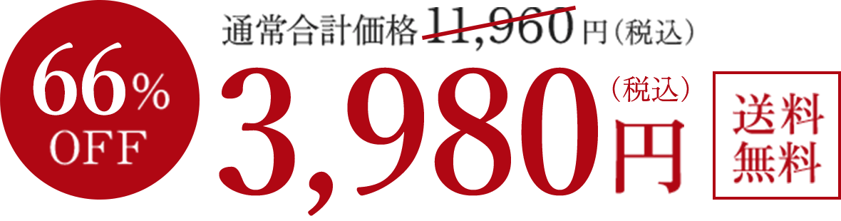 75%OFF2,980円(税込)
